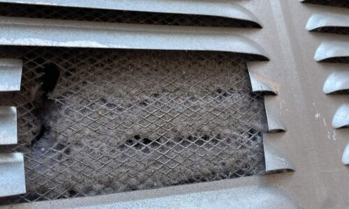 Dryer Vent Cleaning